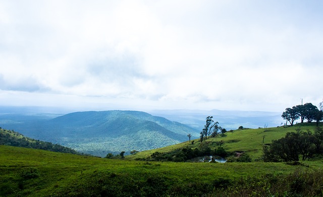 湖人117-119输给公牛，詹姆斯两大变化成败关键.