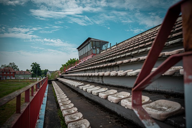 （巴黎奥运）“孤勇者”樊振东大满贯梦圆.